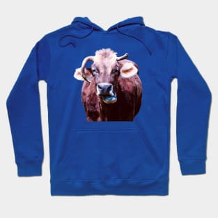 Most ugly Swiss cow Hoodie